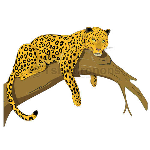 Cheetah T-shirts Iron On Transfers N5380